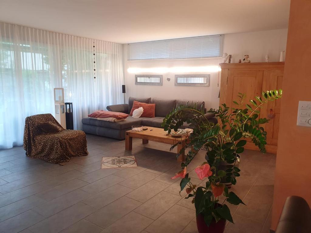 Casa Nadja, Naehe Skigebiet Flims-Lax Ems 外观 照片