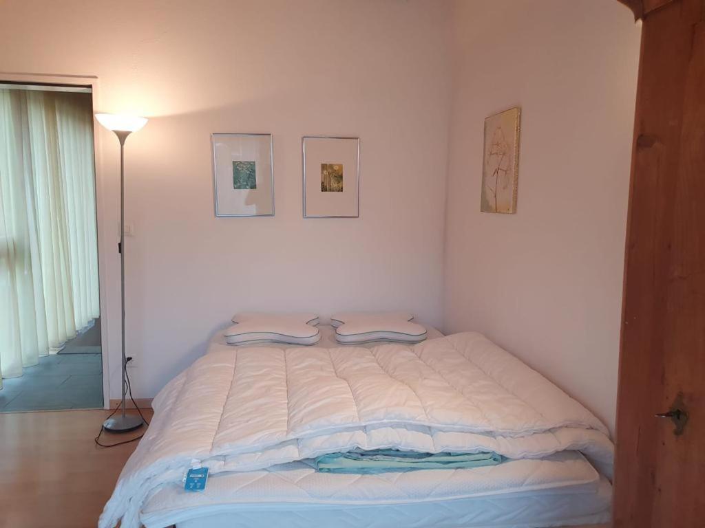 Casa Nadja, Naehe Skigebiet Flims-Lax Ems 外观 照片